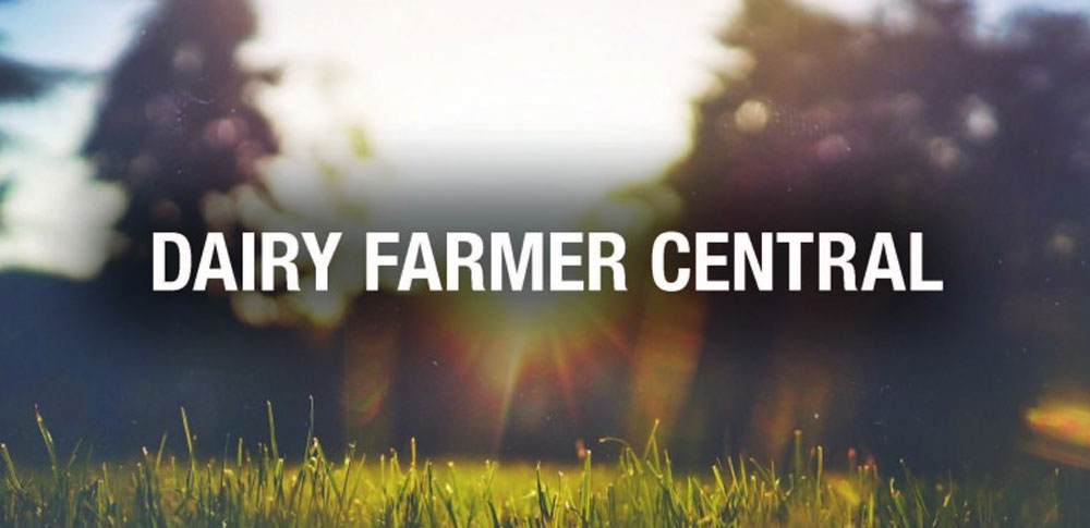 Central Support Directory Launches for Dairy Farmers