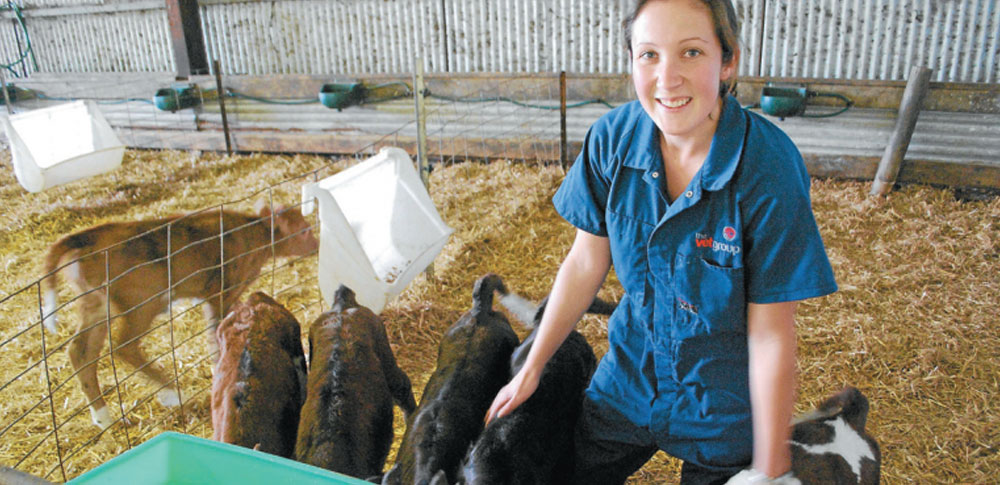 Vet residents help produce healthier herds