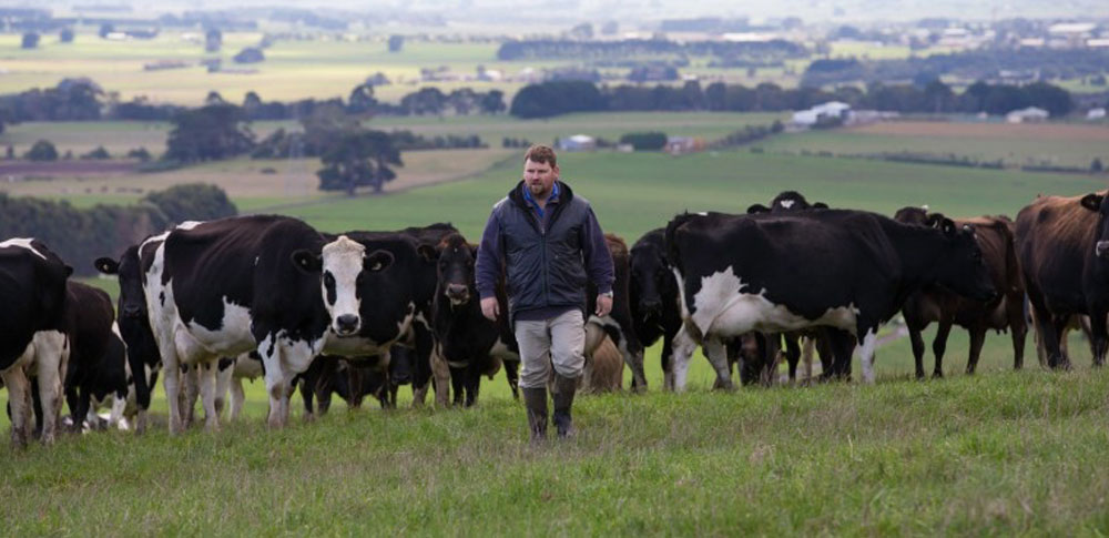 Victorian Dairy Farmers Encouraged to Apply for Farm Business Management Scholarships