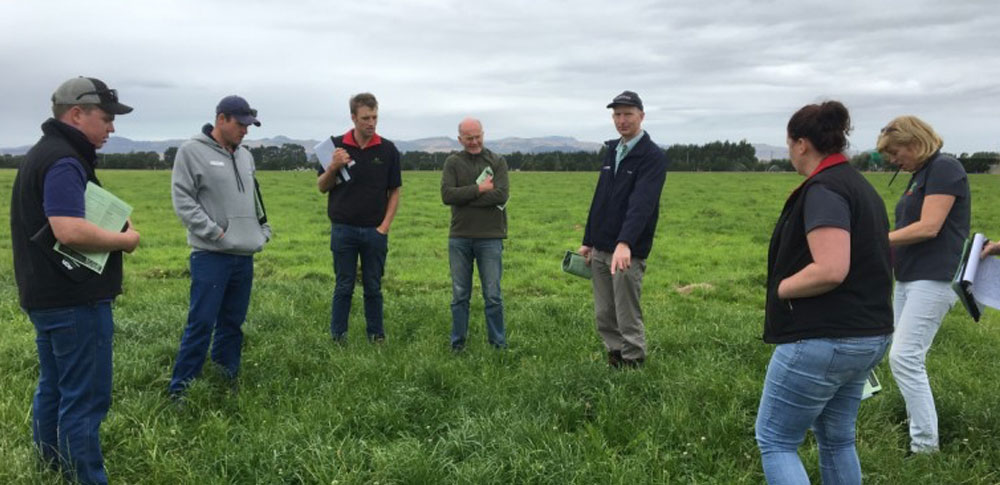 Aspiring Dairy Leaders To Apply For NZ Study Tour