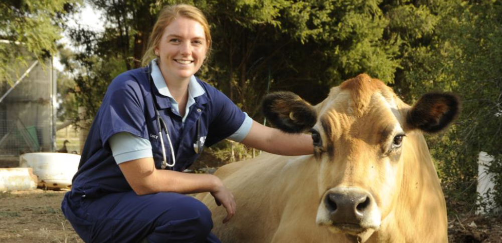 Nuffield scholar to explore global welfare standards in dairy