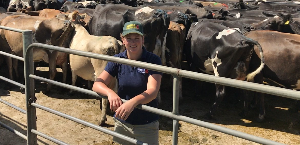 Farmer engagement key to profitability for Australia’s dairy industry