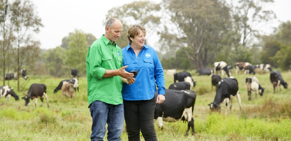 Farm Fitness Checklist’ targets improved dairy farm business performance