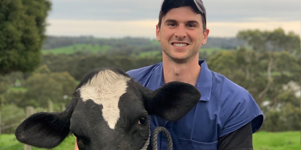 What next for Gippsland dairy vet?