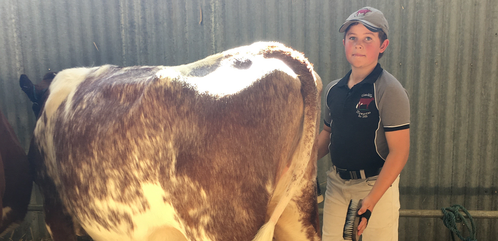 Cows Create Careers program forges Goulburn Valley teenager’s future