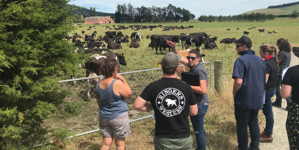 The Gardiner Foundation, in collaboration with the Australian Dairy Conference, is excited to announce the opportunity for a dedicated individual to join the upcoming New Zealand Study Tour as a Mentor. This eight-day tour is scheduled for mid-April 2024.